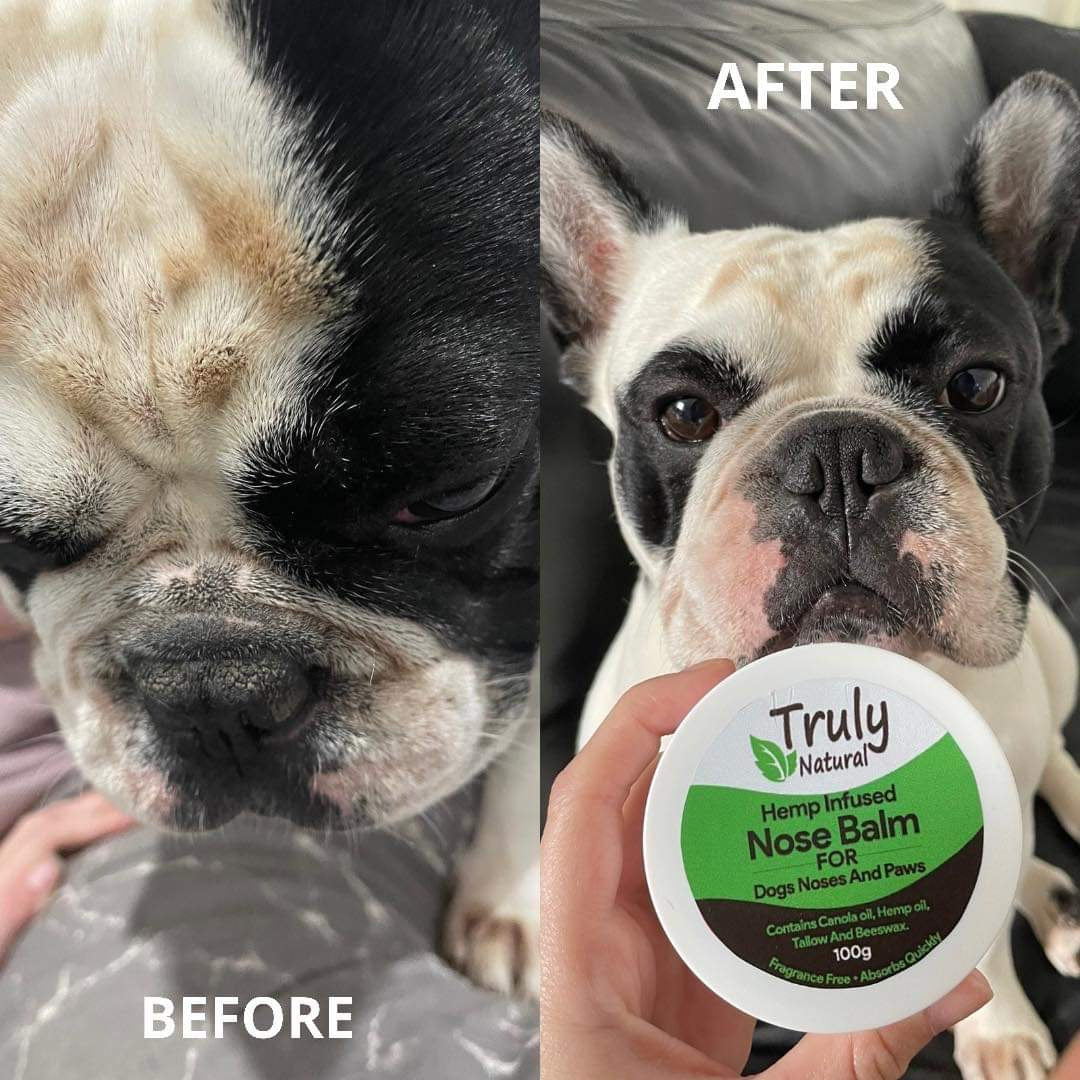 WholesaleTruly Natural Dry Nose and Paw Balm 100g