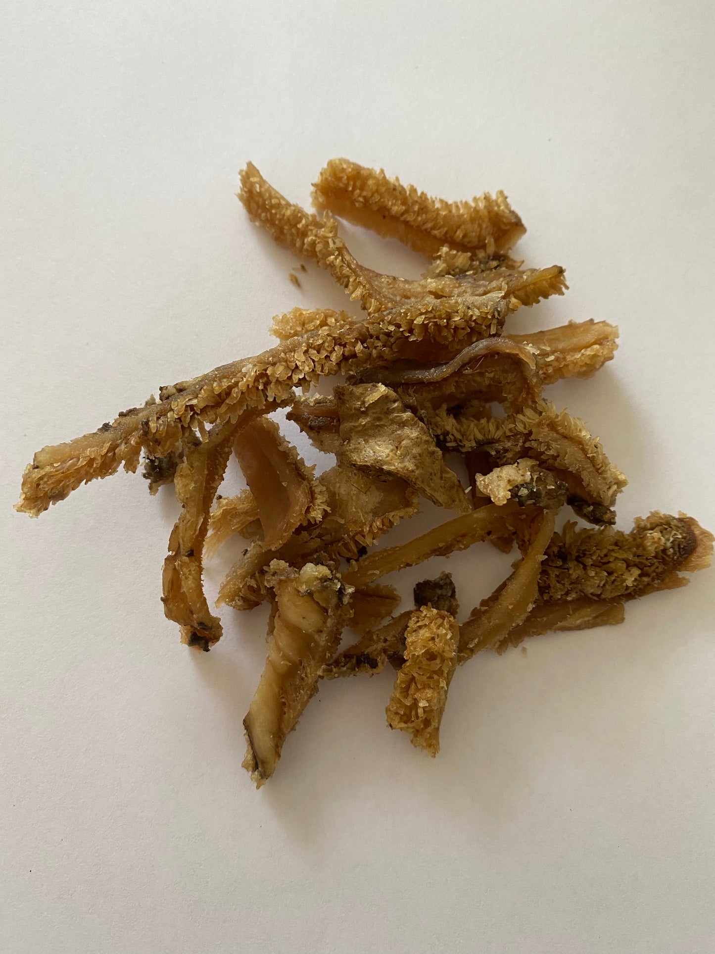 Truly Natural 80g Dehydrated Beef Tripe treats 100% Australian Beef